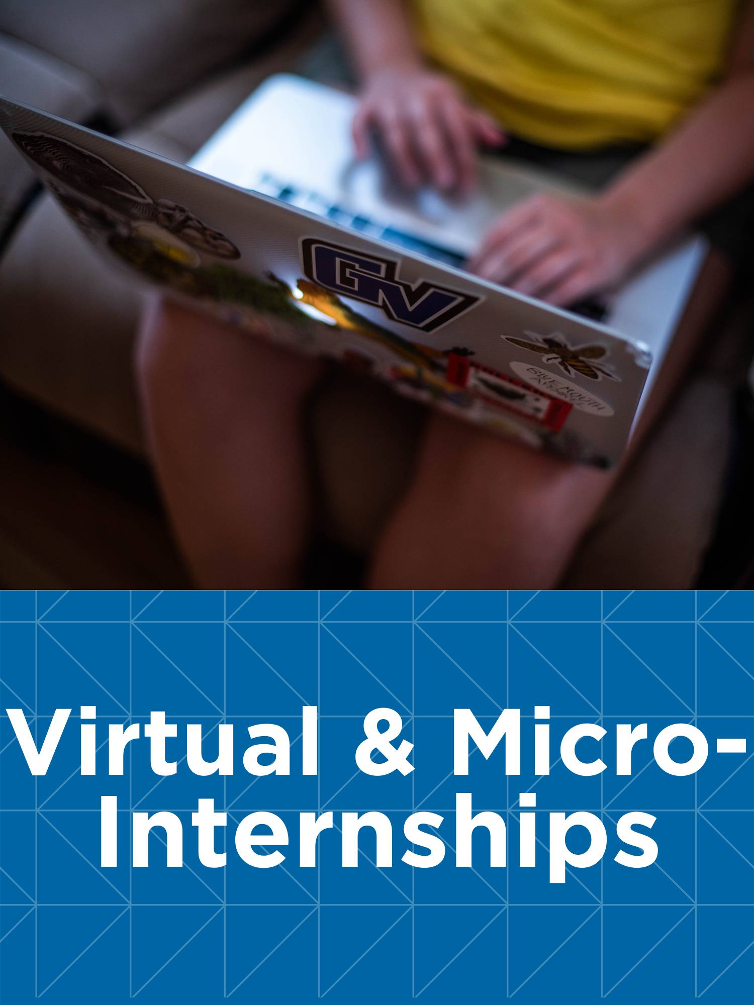 Virtual & Micro-Internships